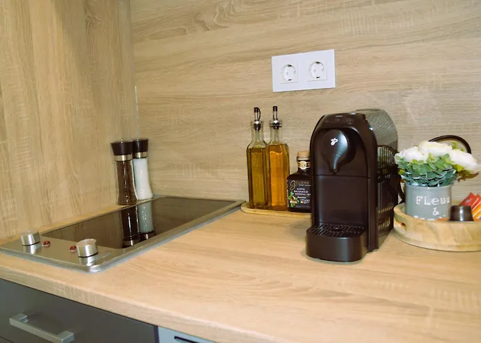 Stilvolle In Stadtzentrumnaehe Apartment *
